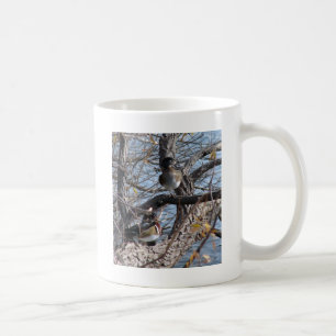 Holzenten in einem Baum Tasse