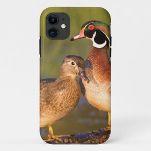 Holzenten und Weibchen auf einem Baumstamm im Feuc Case-Mate iPhone Hülle