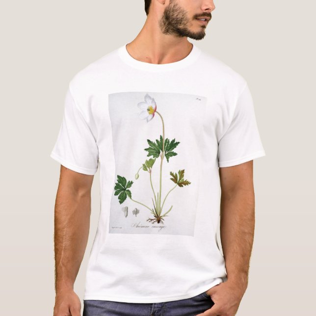 Hölzerne Anemone von "Phytographie Medicale" durch T-Shirt (Vorderseite)