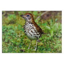 Hölzerne Drossel-dekoratives Glasschneiden-Brett Schneidebrett