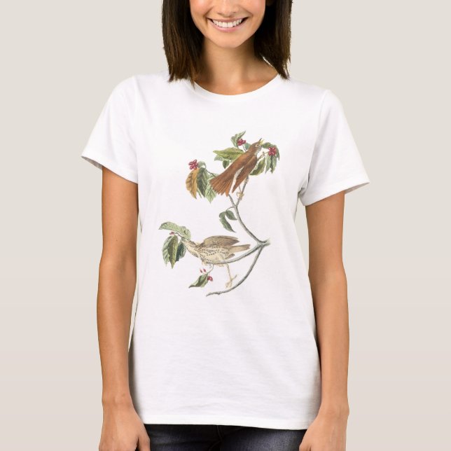 Hölzerne Drossel durch Audubon T-Shirt (Vorderseite)