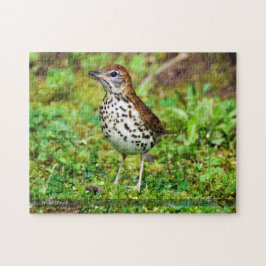 Hölzerne Drossel-Vogel-Puzzlespiel Puzzle