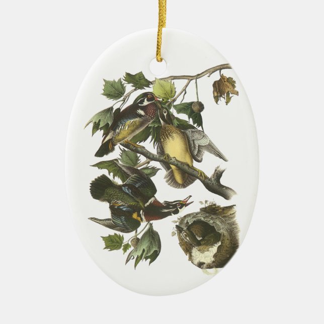 Hölzerne Ente, John Audubon Keramik Ornament (Vorne)