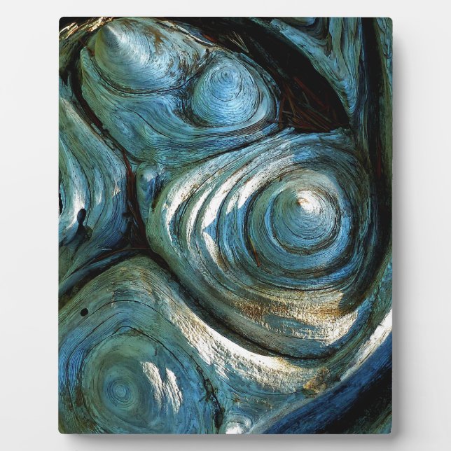 Hölzerne Spiralen Fotoplatte (Vorderseite)