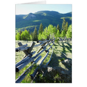 Hölzernes Fenceline