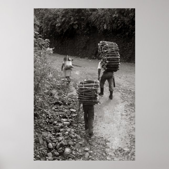 Holzfäller, Guatemala Poster (Vorne)