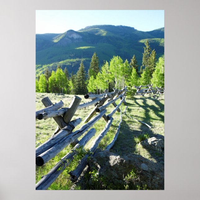 Holzfasel Poster (Vorne)
