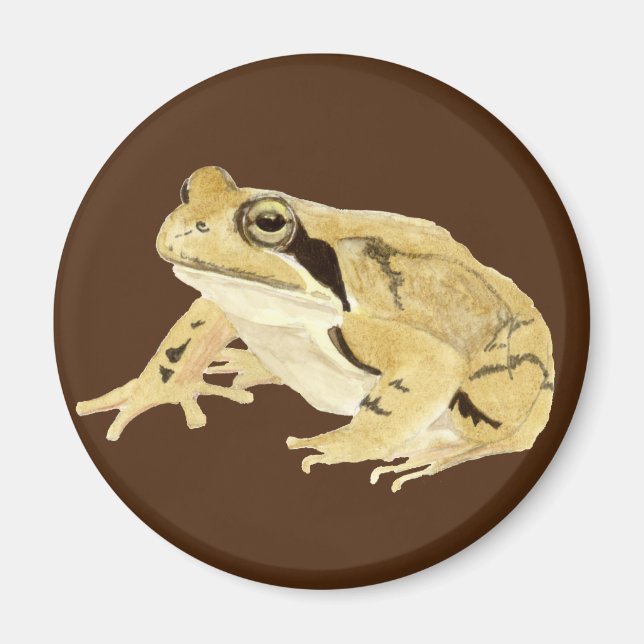 Holzfrosch Magnet (Vorne)