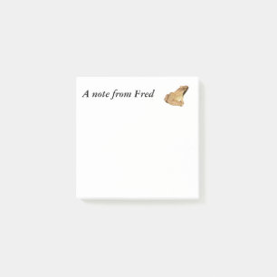 Holzfrosch Post-it Klebezettel