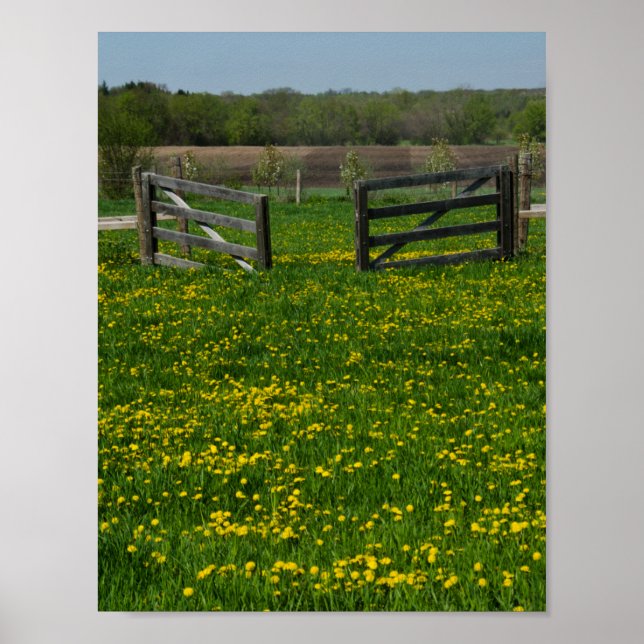 Holzgates Poster (Vorne)
