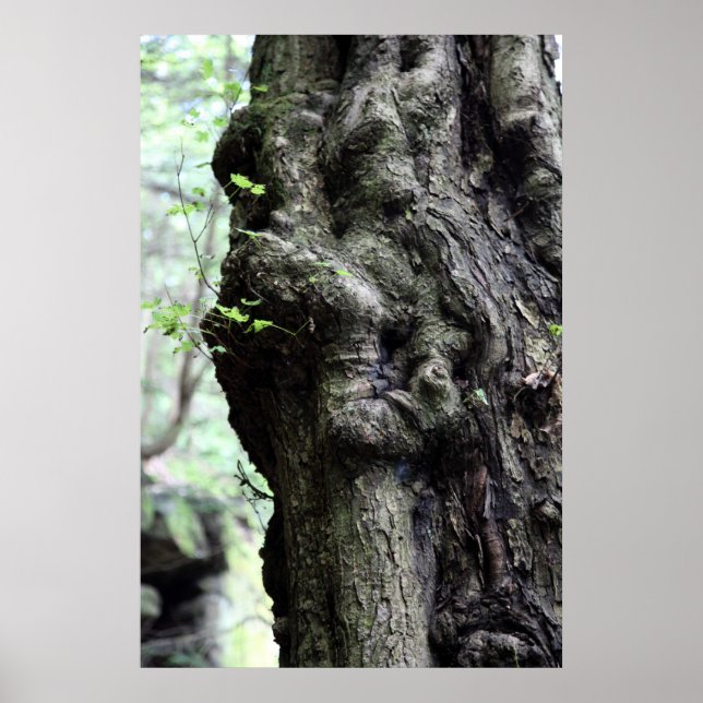 Holzgeist Poster (Vorne)