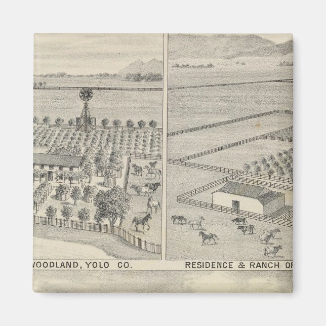 Holzholzunternehmen Magnet (Vorne)