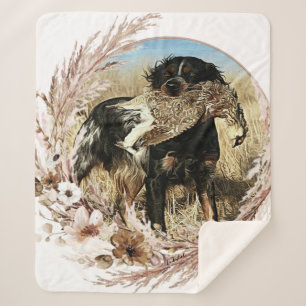 Holzjagd mit der Bretagne Spaniel Sherpadecke