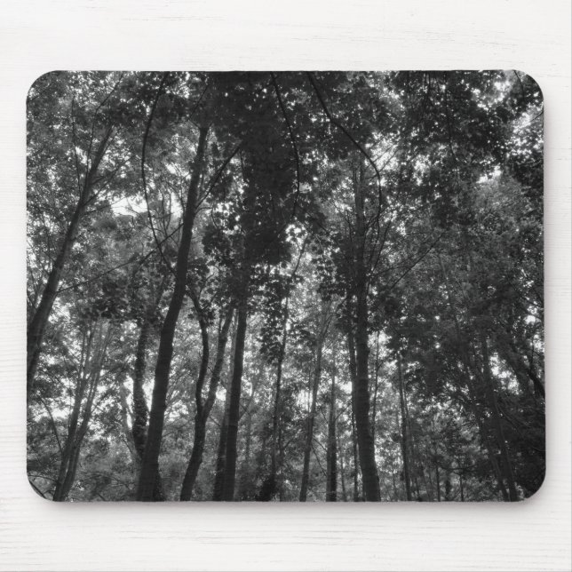 Holzkanopie 02 BW Mousepad (Vorne)