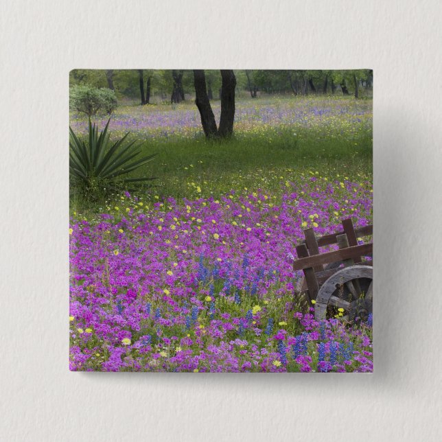 Holzkarren im Feld Phlox, Blauer Bonnet mit Button (Vorderseite)