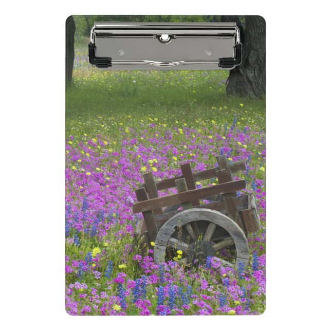 Holzkarren im Feld Phlox, Blauer Bonnets Mini Klemmbrett (Vorderseite)