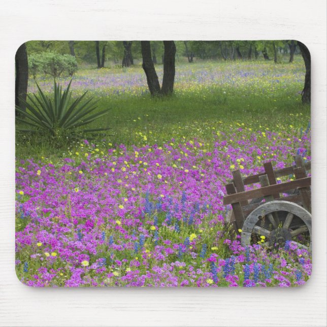 Holzkarren im Feld Phlox, Blauer Bonnets Mousepad (Vorne)