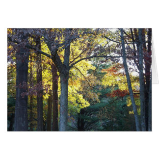 Holzkarte