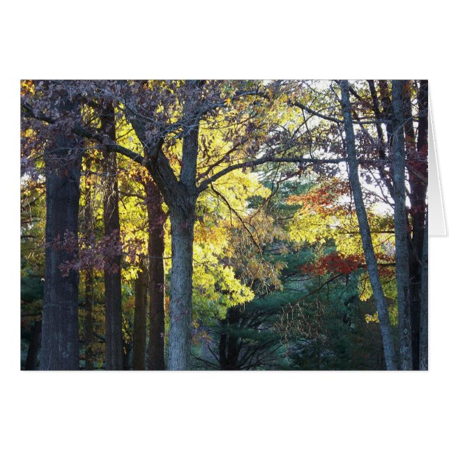 Holzkarte (Vorderseite (Horizontal))