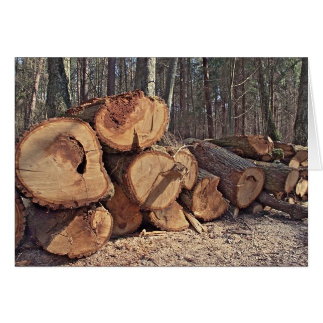 Holzkarte (Vorderseite (Horizontal))