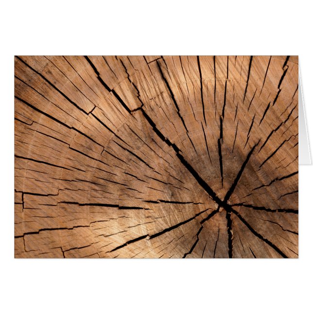 Holzkohle (Vorderseite (Horizontal))