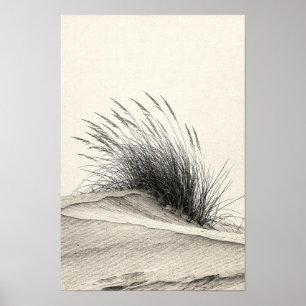 Holzkohle-Dünen-Gras-Monochrom-Naturposter Poster