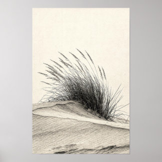 Holzkohle-Dünen-Gras-Monochrom-Naturposter Poster