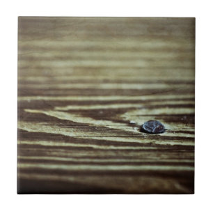 Holzkörnertextur von Shirley Taylor Fliese