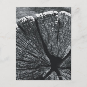 Holzmaserung Detail Postkarte