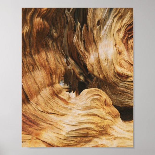 Holzmuster Textur alt Poster (Vorne)