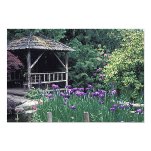 Holzpavillon im Sunken Garden in Fotodruck