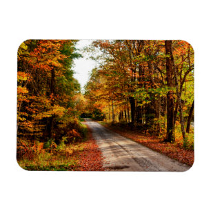 Holzpfad mit Herbstlaub Magnet
