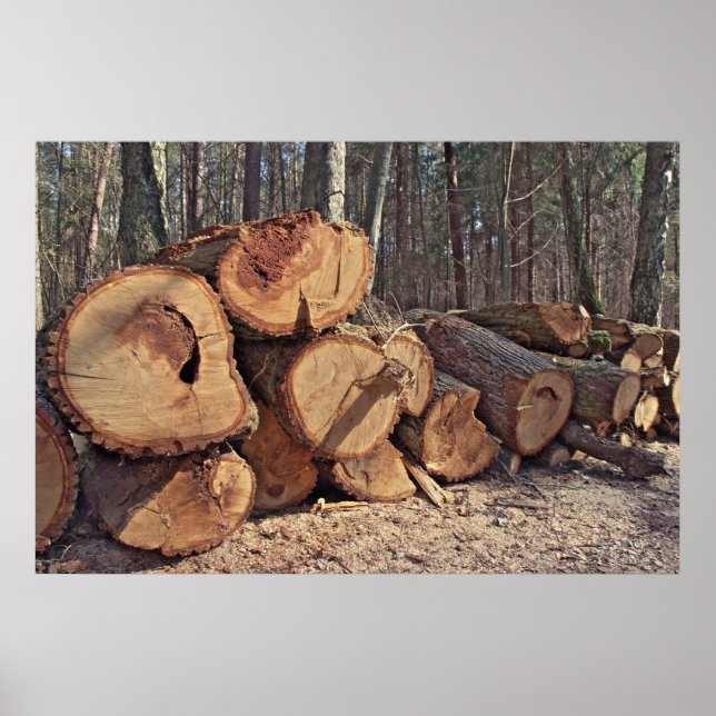 Holzposter Poster (Vorne)