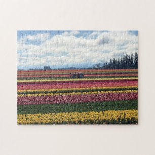 Holzschuh-Tulpenfarm, Woodburn, Oregon Puzzle