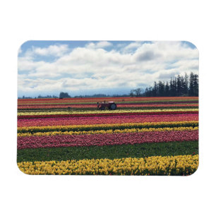 Holzschuhfarm, Holzbrand, Oregon Magnet