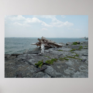 Holzskulptur des Seemonsters Poster