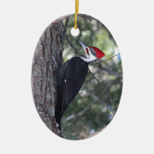 Holzspecht Keramikornament