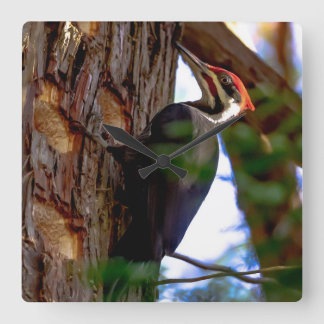 Holzspecht Quadratische Wanduhr