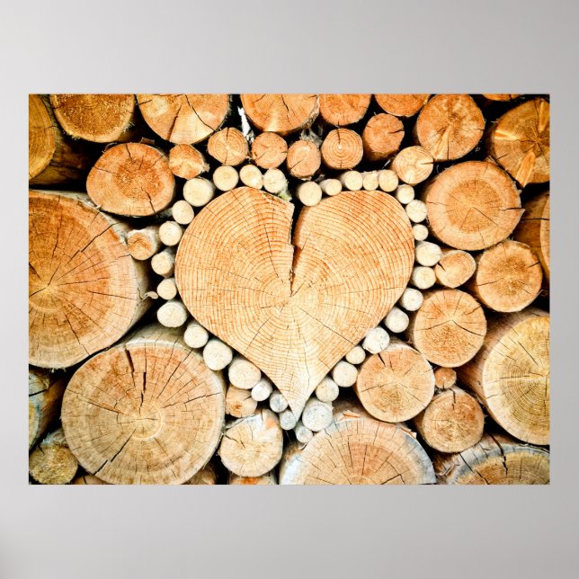 Holzstämme aus Hörnchenholz Poster (Vorne)