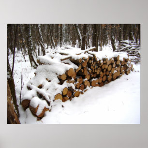Holzstapel im Holzplakat Poster