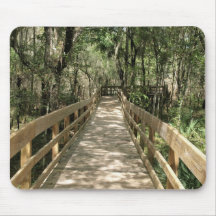 Holzsteg durch den Wald