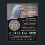 Holztaube, Werbung für Kontrollen in der Schädling Flyer<br><div class="desc">Holztaube,  Schädling-Kontrolle-Werbe-Flyer durch den Business Card Store.</div>