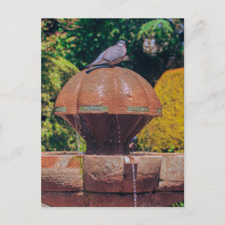 Holztaubenbrunnen Vintage Fotografie Postkarte