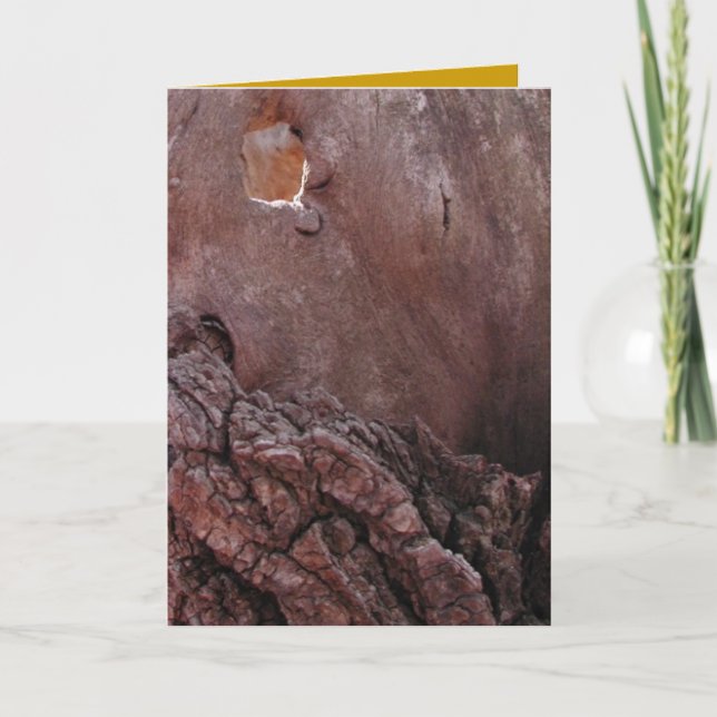 Holzteere Karte (Vorderseite)