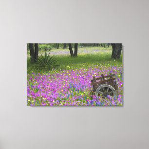 Holzwagen auf einem Feld mit Phlox, Blaue Bonnets Leinwanddruck