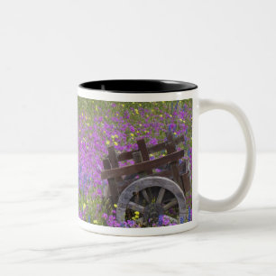Holzwagen auf einem Feld mit Phlox, Blaue Hauben m Zweifarbige Tasse