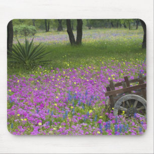 Holzwagen auf einem Phloxfeld, Blaue Bonnets Mousepad