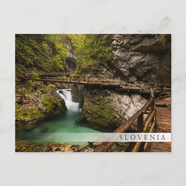 Holzweg durch den Schlucht der Vintgar-Schlucht Postkarte (Vorderseite)