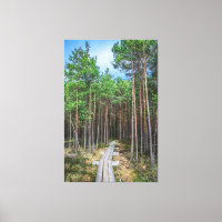 Holzweg im Kiefernwald