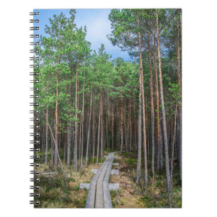 Holzweg im Kiefernwald Notizblock